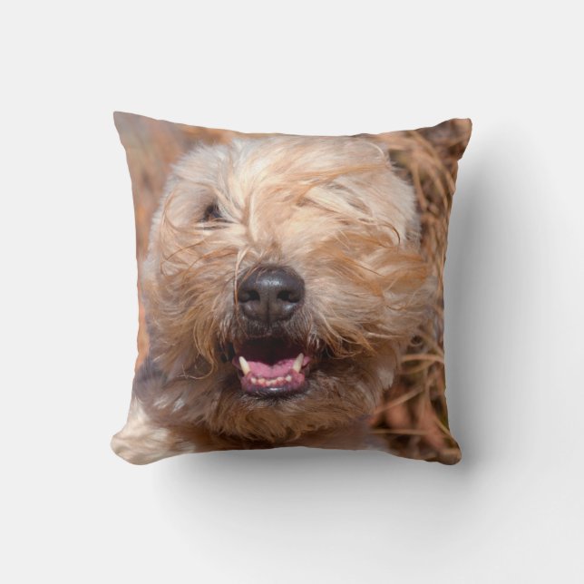 Soft Coated Wheaten Terrier portrait Throw Pillow (Front)