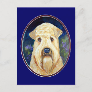 Soft Coated Wheaten Terrier Postcards