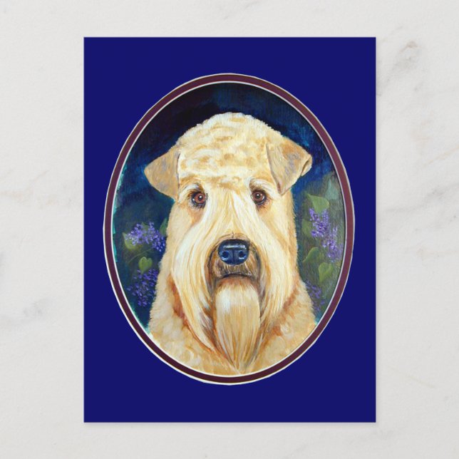 Soft Coated Wheaten Terrier Postcards (Front)