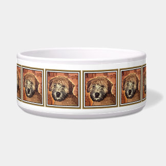 Soft-Coated Wheaten Terrier Puppy Dog Bowl