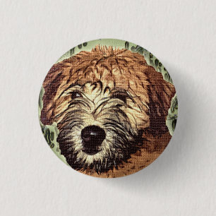 Soft-Coated Wheaten Terrier Puppy with Wet Face Button