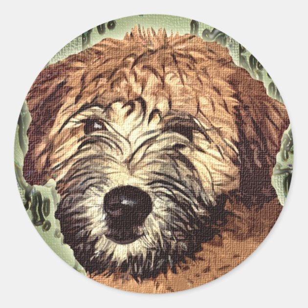 wheaten terrier face