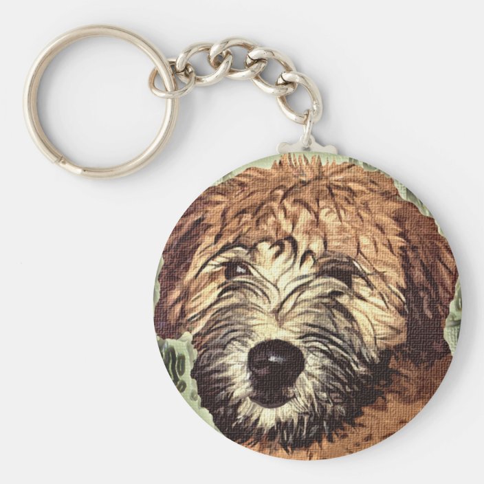 wheaten terrier face