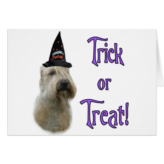 Soft Coated Wheaten Trick Cards (Front Horizontal)