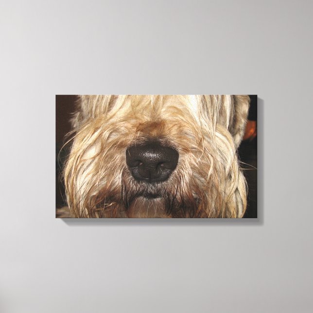 soft coated wheaton terrier.png canvas print (Front)
