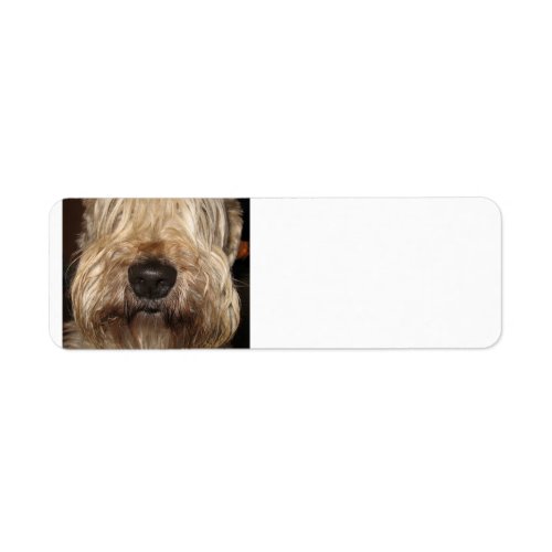 soft coated wheaton terrierpng label
