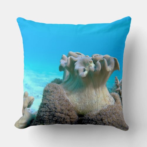 Soft coral reefs Throw Pillow