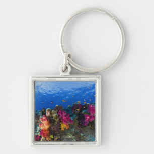 Soft corals on shallow reef, Fiji Keychain