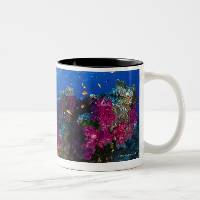 Soft corals on shallow reef, Fiji Two-Tone Coffee Mug (Right)