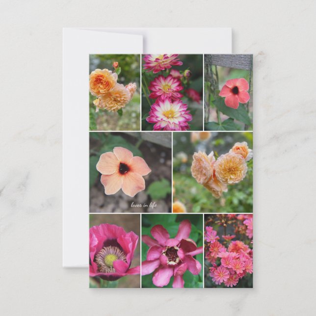 Soft Cream & Pink Flower Collage  Note Card (Front)