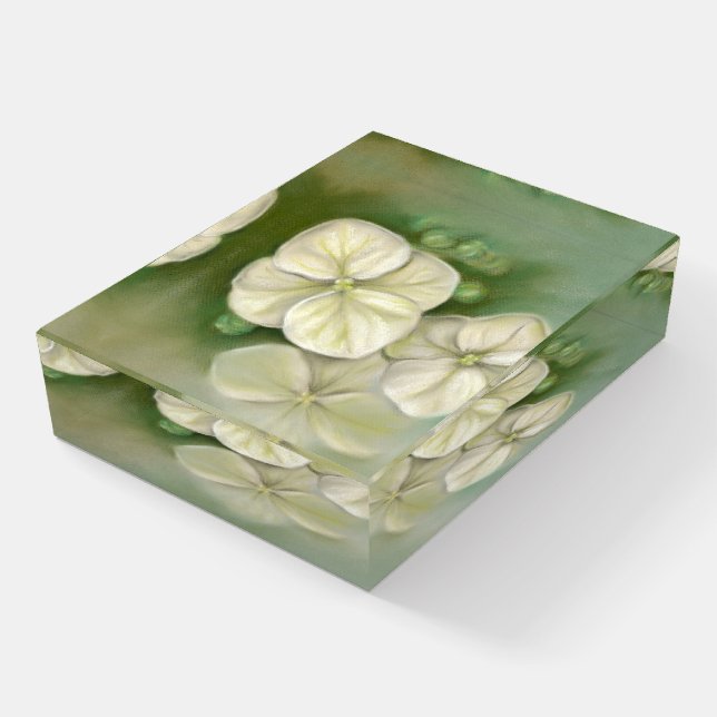 Soft Cream White Pastel Hydrangea Floral Paperweight (Angled)