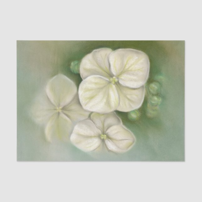 Soft Cream White Pastel Hydrangea Floral Tissue Paper (Front)