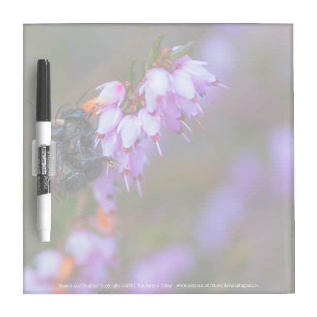 Soft Dry Erase Board (Front)
