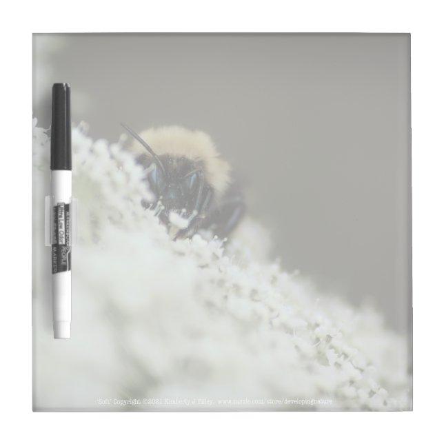 Soft Dry Erase Board (Front)
