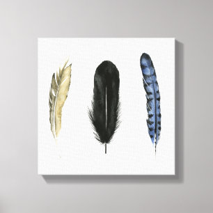 Soft Feathers I Canvas Print