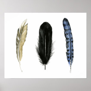 Soft Feathers I Poster