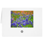 Soft Focus Bluebonnets Cards (Back Horizontal)