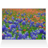 Soft Focus Bluebonnets Cards (Inside Horizontal (Top))