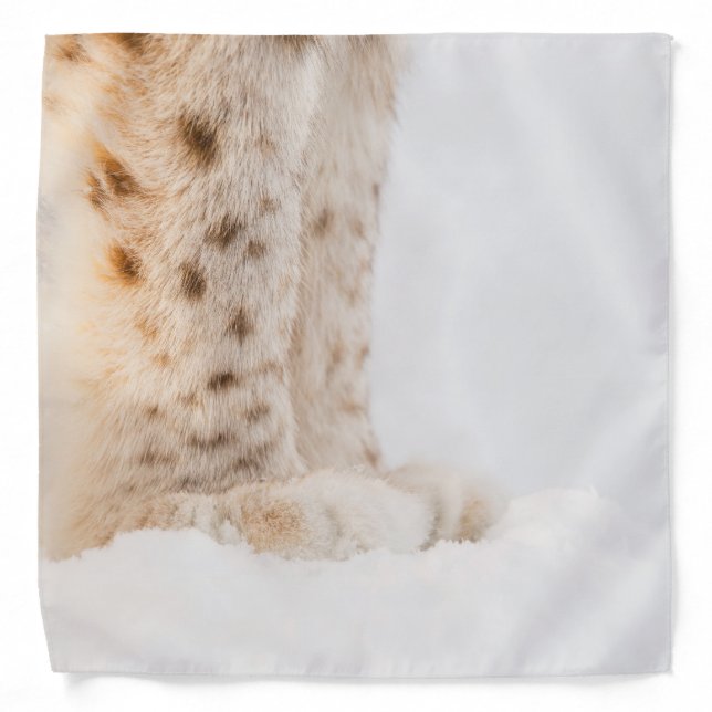 Soft golden lynx paws in snow bandana (Front)