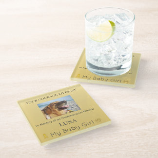 Soft Golden Osteosarcoma Pet Keepsake Glass Coaster