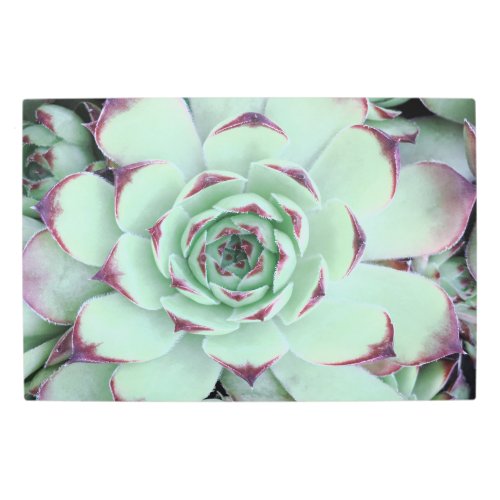 Soft Green and Burgundy Wine Succulents Photo Metal Print