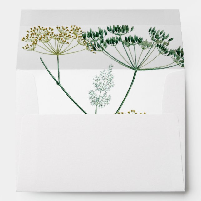 Soft Green Botanical IV Envelope (Back (Bottom))