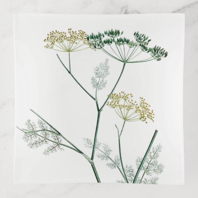 Soft Green Botanical IV Trinket Tray (Front)