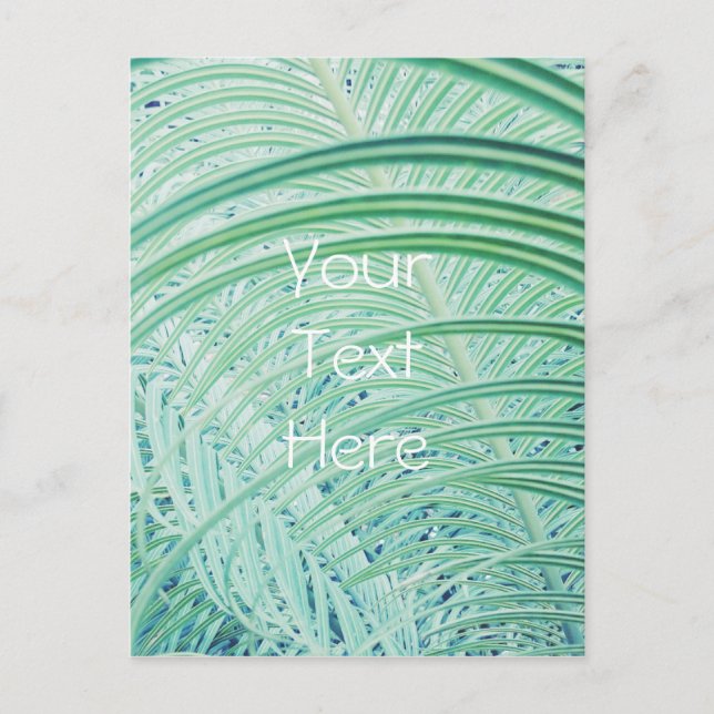 Soft Green Plant Palm Leaf Postcard (Front)