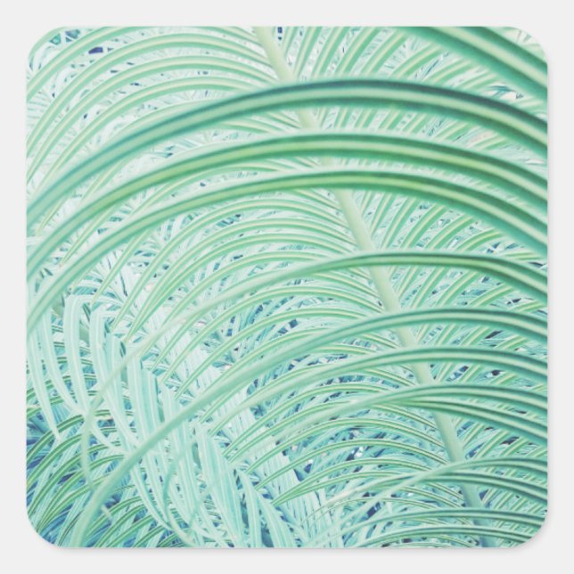 Soft Green Plant Palm Leaf Square Sticker (Front)