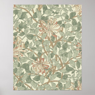 Soft Green Vintage William Morris Honeysuckle Poster