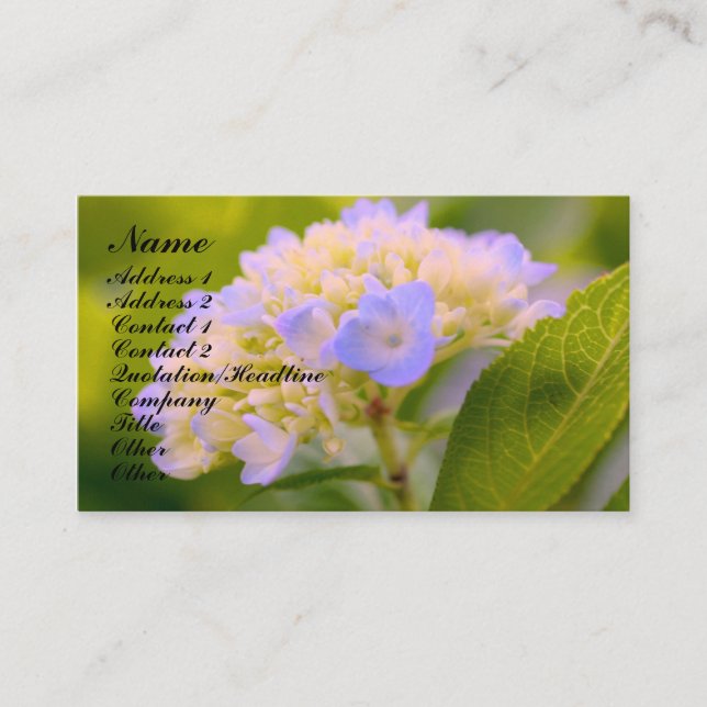 Soft Hydrangea Flower Business Card (Front)