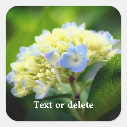 Soft Hydrangea Flower Personalized Square Sticker