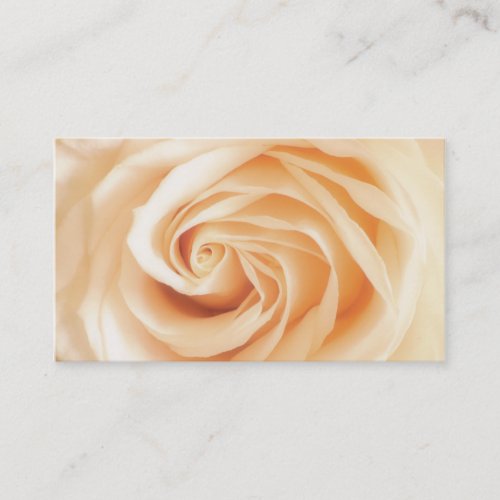 Soft Ivory Rose Business Card Templates