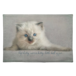 Soft kitty, ragdoll kitten placemats