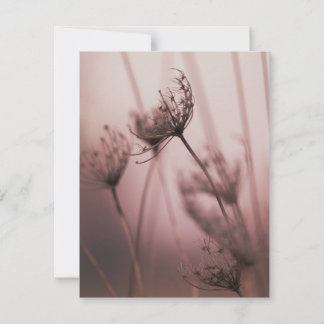 Soft Light Wild Flower Seed Heads Note Card