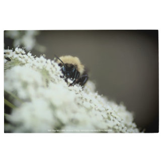 Soft Metal Print