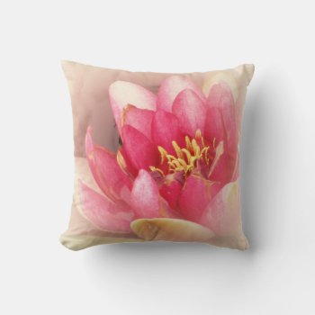 Soft Muted Pink Water Lily Throw Pillow by SerenityGardens at Zazzle