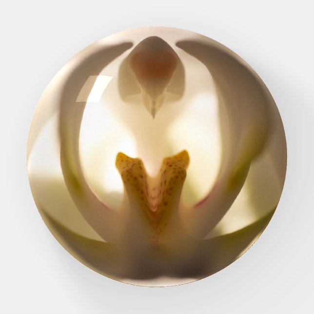Soft Natural Orchid Print Paperweight (Front)