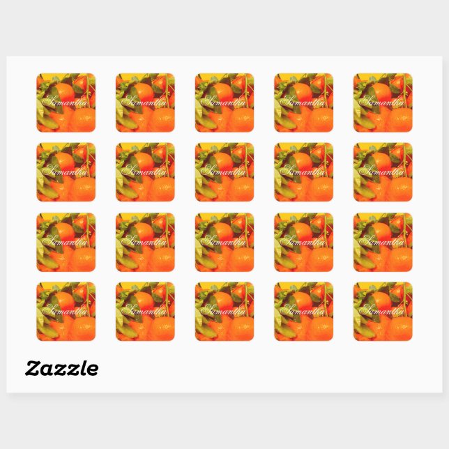 Soft Orange Fruit Aesthetic Square Sticker (Sheet)