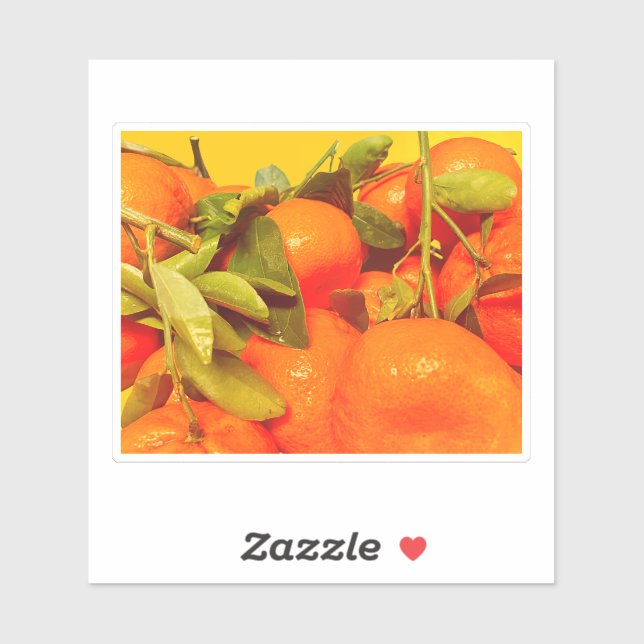 Soft Orange Fruit Aesthetic Sticker (Sheet)