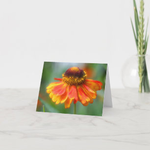 Soft Orange Yellow Zinnia Flower Photography Note Card