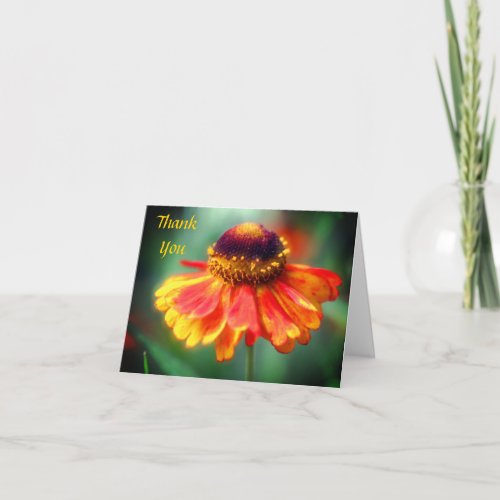 Soft Orange Yellow Zinnia Flower Thank You Card