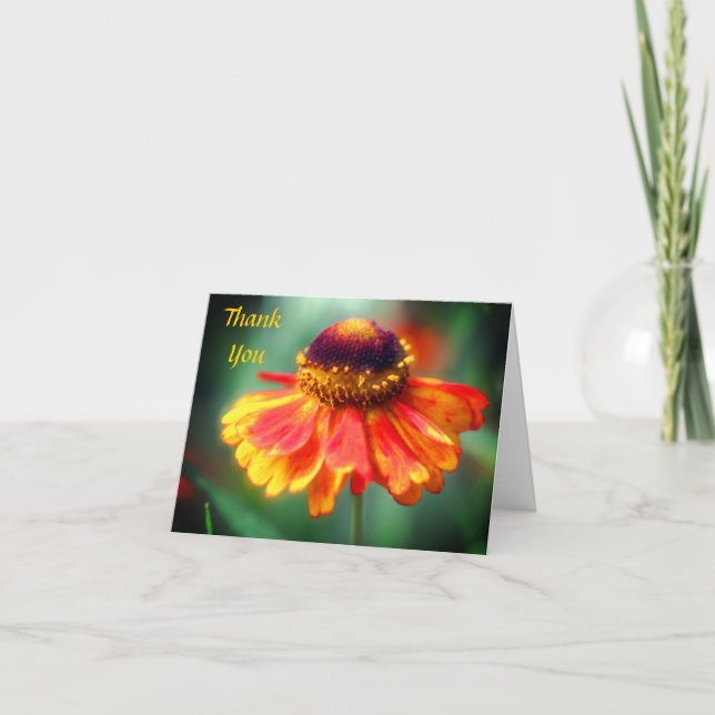Soft Orange Yellow Zinnia Flower Thank You Card (Front)