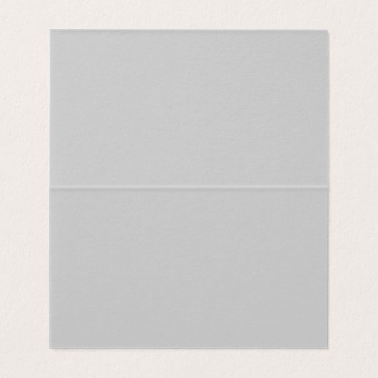 Soft Pale Gray Geometric (Inside Unfolded)