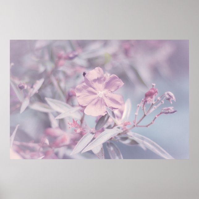 Soft Pastel Lavender Flower Poster (Front)