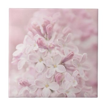 Soft Pastel Pink French Lilacs Ceramic Tile by Vanillaextinctions at Zazzle