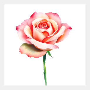 Soft Pastel Rose Bloom