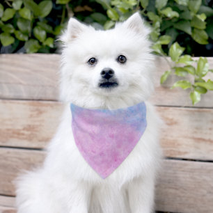 Soft Pastel Watercolor Splash Pet Bandana Collar