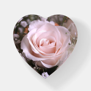 Soft Peach Rose Heart-Shaped Paperweight