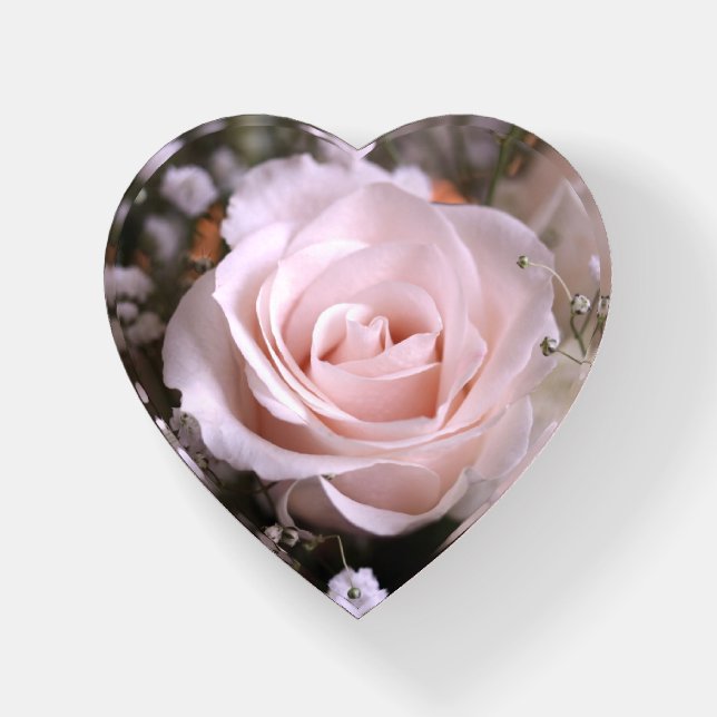 Soft Peach Rose Heart-Shaped Paperweight (Front)